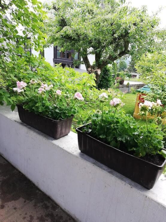 Apartament Am Balkon Des Erzgebirges Bernsbach Zewnętrze zdjęcie